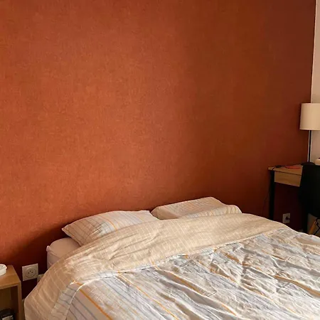 Apartment Housing Renovated Of 68 M2 - Toulouse